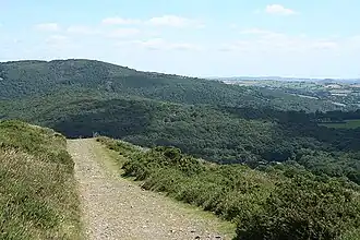 Image of the unpaved drive sitting in the valley looking down over wooded terrain to the river at the bottom