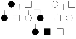 Autosomal dominant disorders do not skip a generation, so affected offspring have affected parents. One parent must have the disorder for their offspring to be affected. Both males and females are equally likely to be affected, so it is an autosomal disorder.