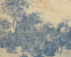 Childhood home on Bokhara River