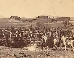 Empire Ranch in the 1890s.