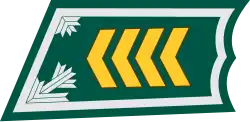 Översergeant (Finnish: Ylikersantti) (Finnish Army)[19]