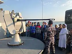 Yugoimport-SDPR M71 cannon