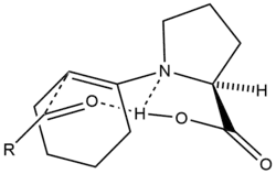 A six-membered transition state in asymmetric proline catalysis.