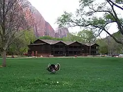Zion Lodge