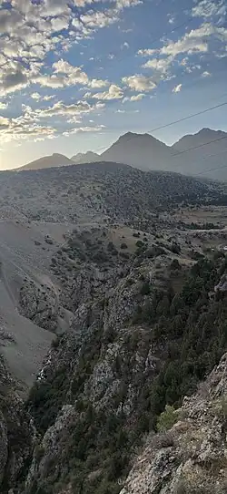 Zomin mountain forest reserve