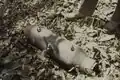 Unexploded Portuguese bomb, Canjambari, Guinea-Bissau, 1974