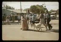 The first Bangtail Muster in 1959