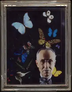 Montage of elder Andrey Avinoff with bowtie surrounded by butterflies.