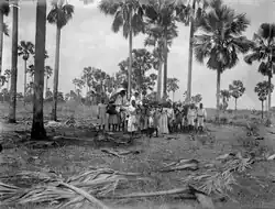 Trip to Sainte Marie de Marovoay in 1906 during Walter Kauderns first visit to Madagascar.