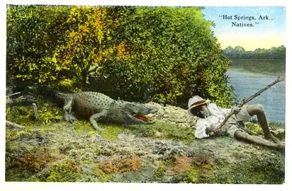 Fishing in Hot Springs - Boy and Alligator 1911