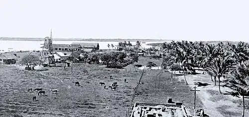 click on image to enlarge it