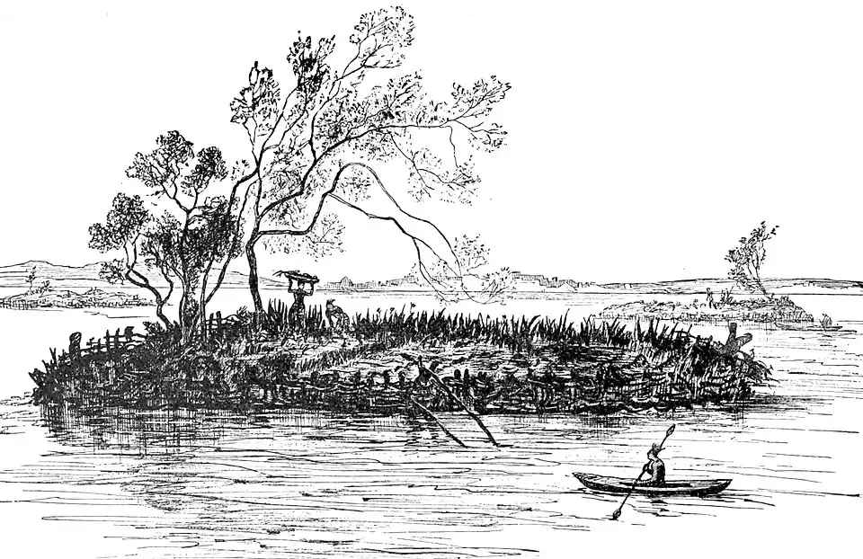 click on image to enlarge