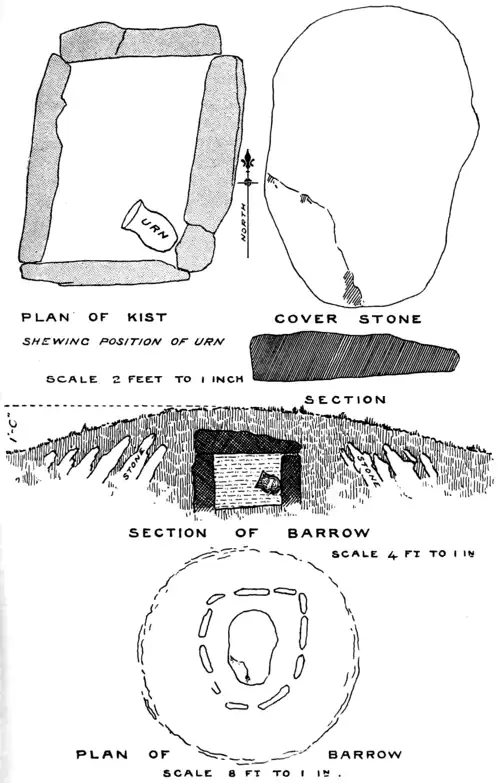 Barrow on Chagford Common