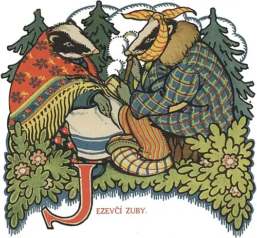 JEZEVČÍ ZUBY.