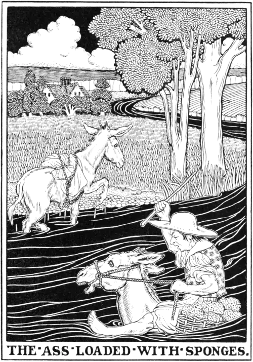 The Ass loaded with Sponges.