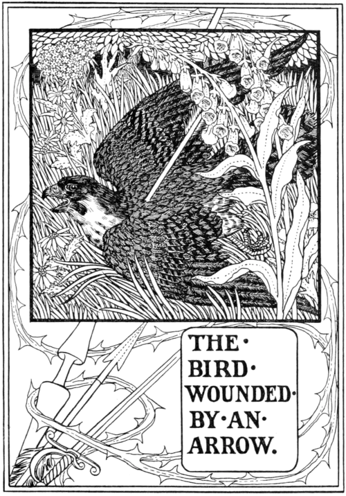 The Bird wounded by an Arrow.