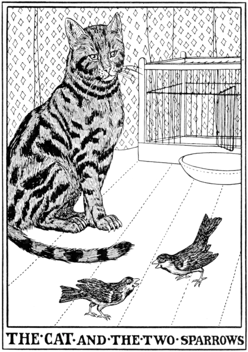 The Cat and the two Sparrows.