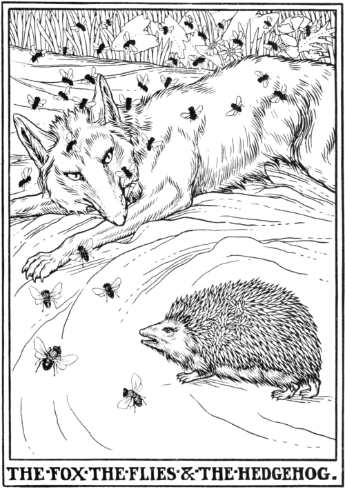 The Fox the Flies & the Hedgehog.