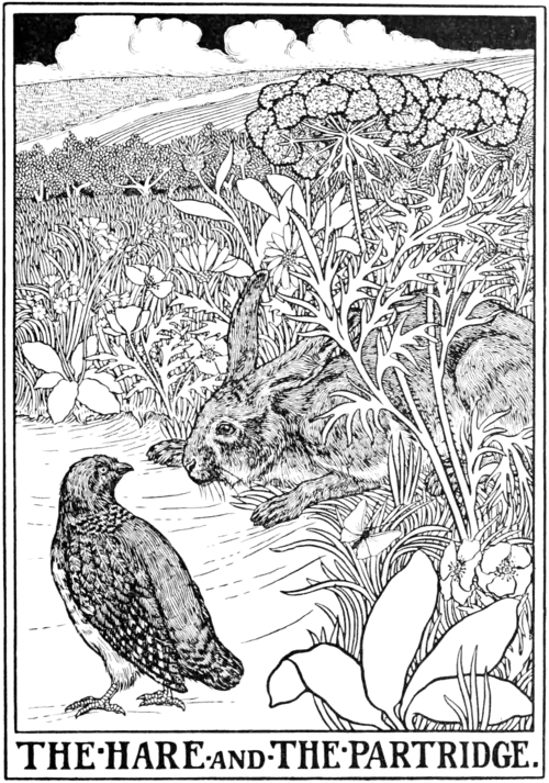 The Hare and the Partridge.