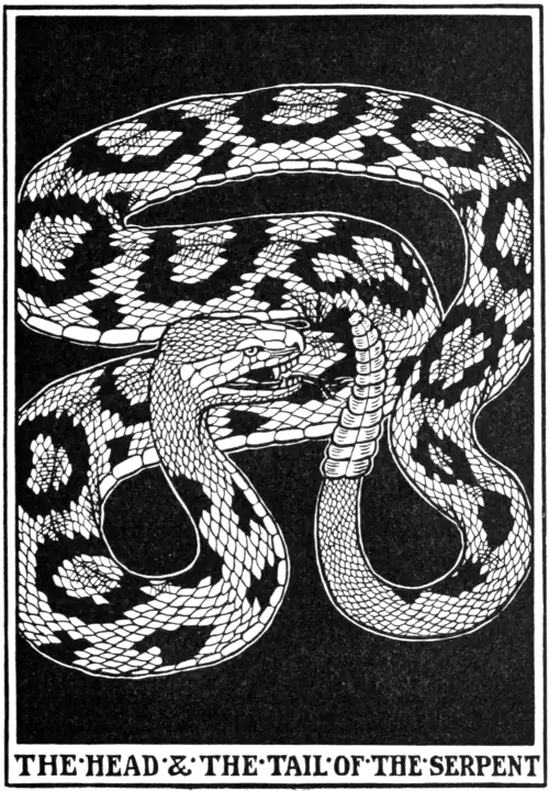The Head & Tail of the Serpent.
