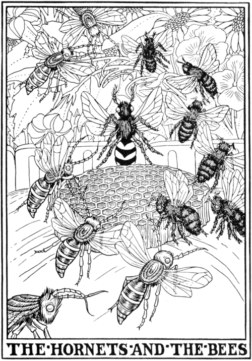 The Hornets and the Bees.