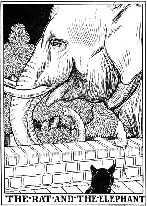 The Rat and the Elephant.