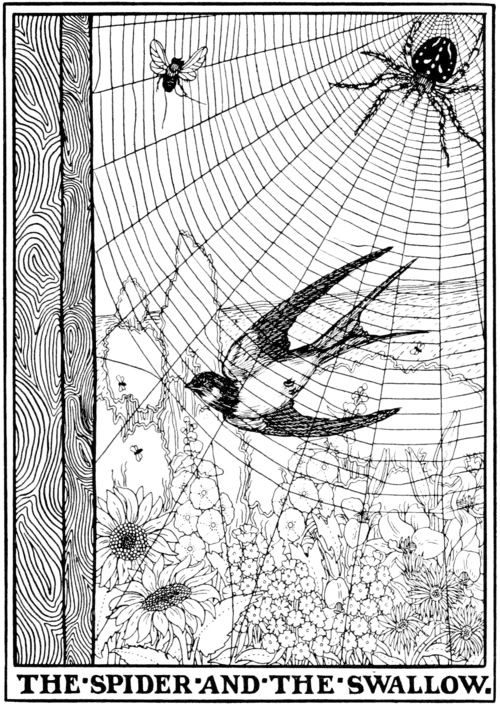 The Spider and the Swallow.