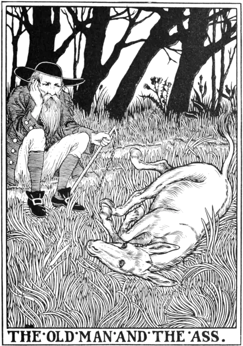 The old Man and the Ass.