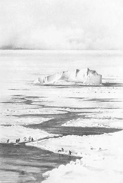 Drawing of pack ice with a zigzagging lead and several penguins at the edge