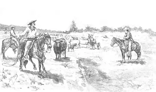 Click on image to enlarge.