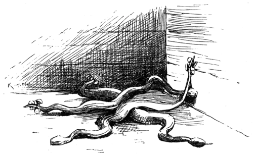 three snakes with buttons tied on their tales