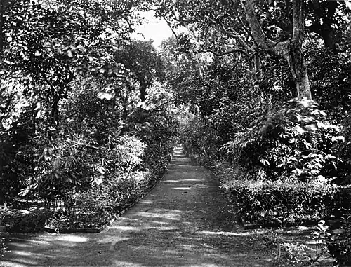 ALLEY IN CAMOENS GARDEN, MACAO