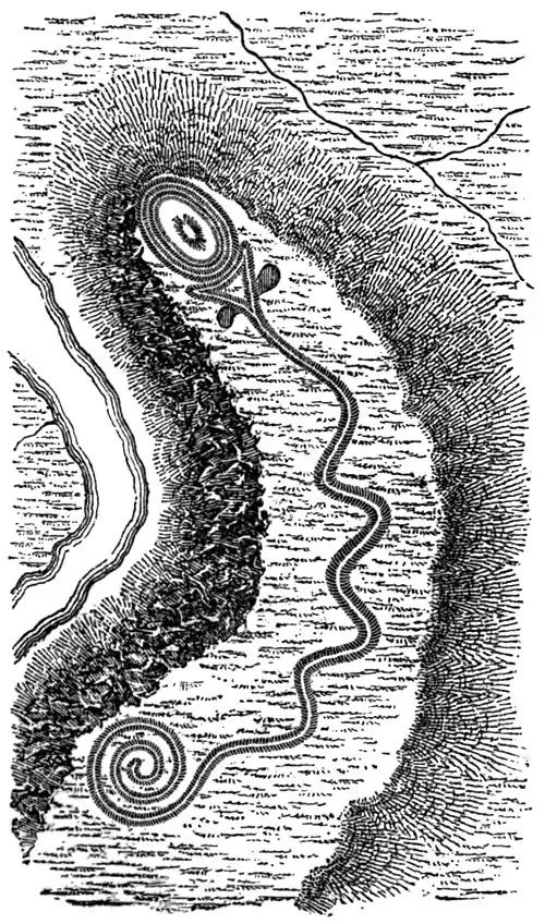 AmCyc American Antiquities, Serpent-shaped Mound.jpg
