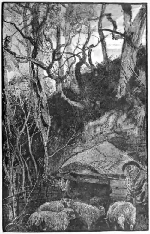 Fig. 80.—"And silent were the sheep in woolly fold."—Keats, St. Agnes Eve.