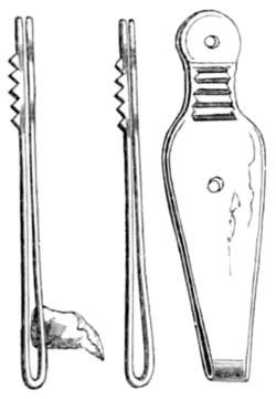 Archaeological Journal, Volume 11, 0126.png