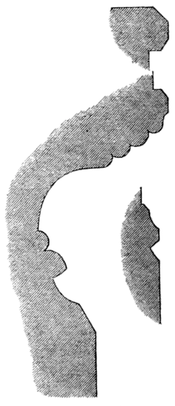 Archaeological Journal, Volume 2, 0208c.png