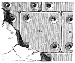 Archaeological Journal, Volume 2, 0449b.png