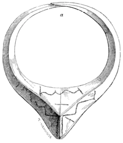 Archaeological Journal, Volume 3, 0051.png