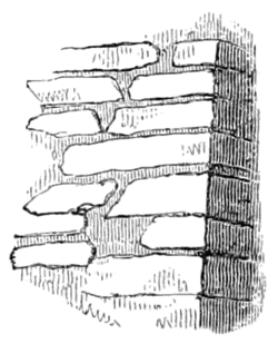 Archaeological Journal, Volume 3, 0066.png