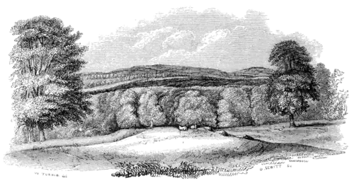 Archaeological Journal, Volume 3, 0138.png