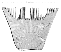 Archaeological Journal, Volume 6, 0038a.png