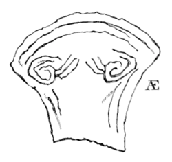 Archaeological Journal, Volume 7, 0057b.png