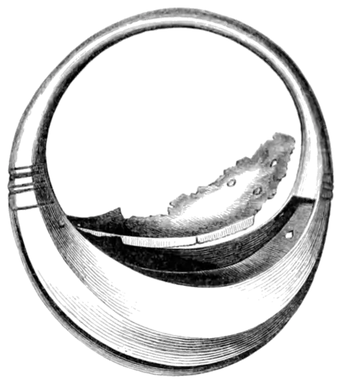 Archaeological Journal, Volume 8, 0121a.png