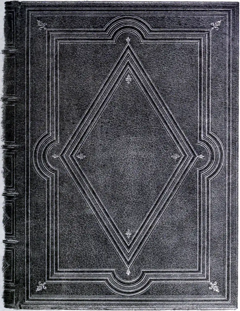 Photo-lithograph of a book cover.