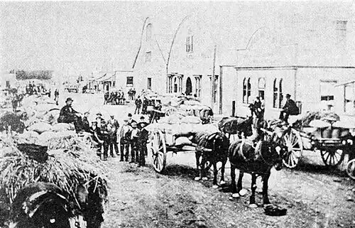 an early mode of transport - drays bring wheat to West Street in 1890