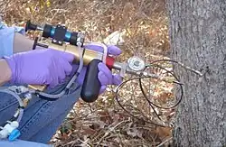 Imidacloprid treatment injection device