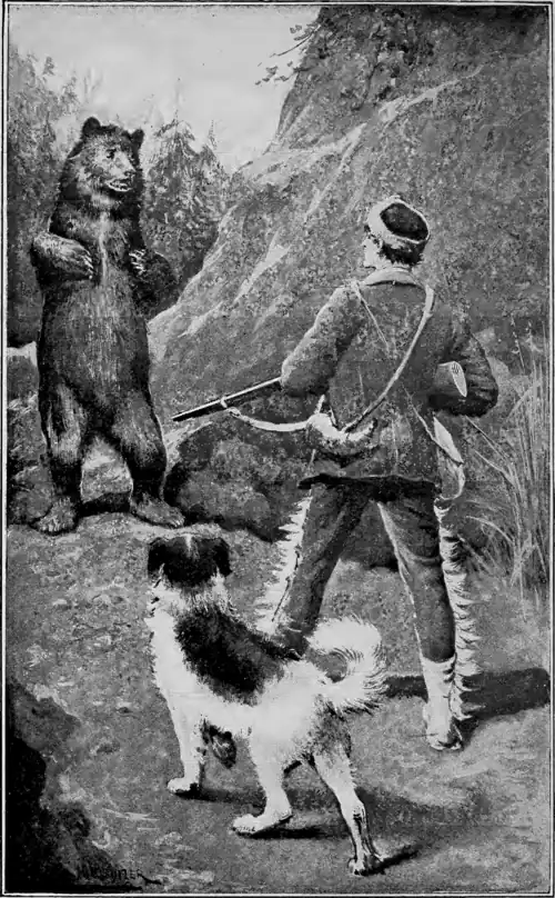 “The grizzly bear .&nbsp;.&nbsp;.&nbsp;. rose on his hind legs and made a loud hissing noise.” Chap. XVII. Frontispiece.