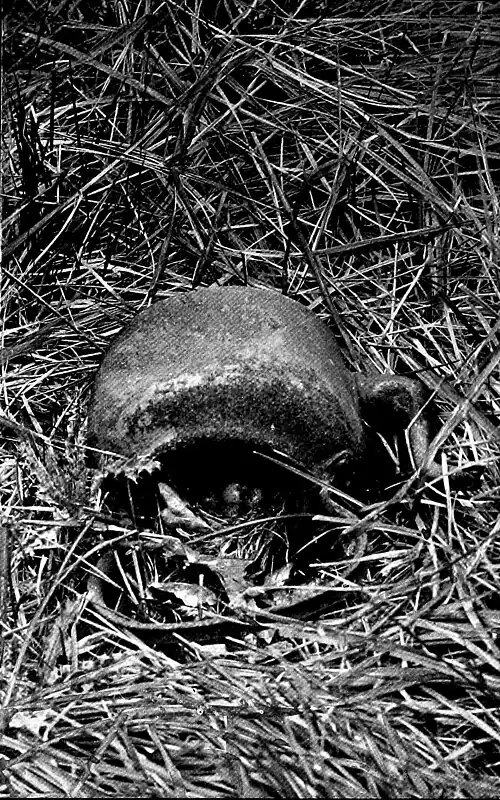 Robin's Nest in Kettle