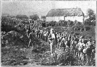 Counting Austrian Prisoners.