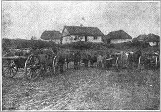 Captured Austrian Battery.